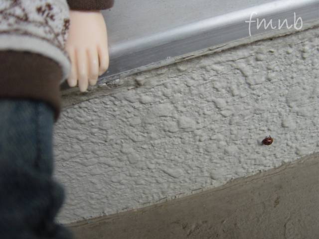 20100218_b02.jpg