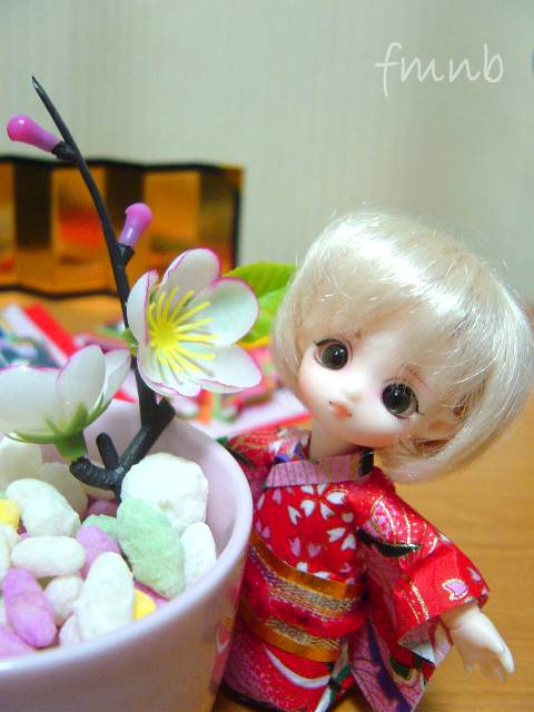 20100304hato02.jpg